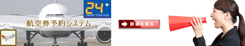 航空券検索予約システム